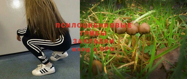 винт Навашино