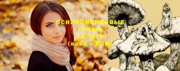 винт Навашино