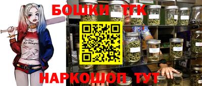индика Гагарин