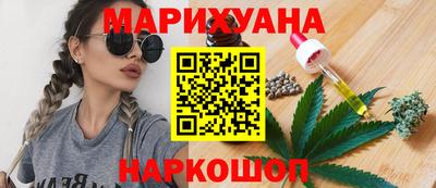 индика Гагарин